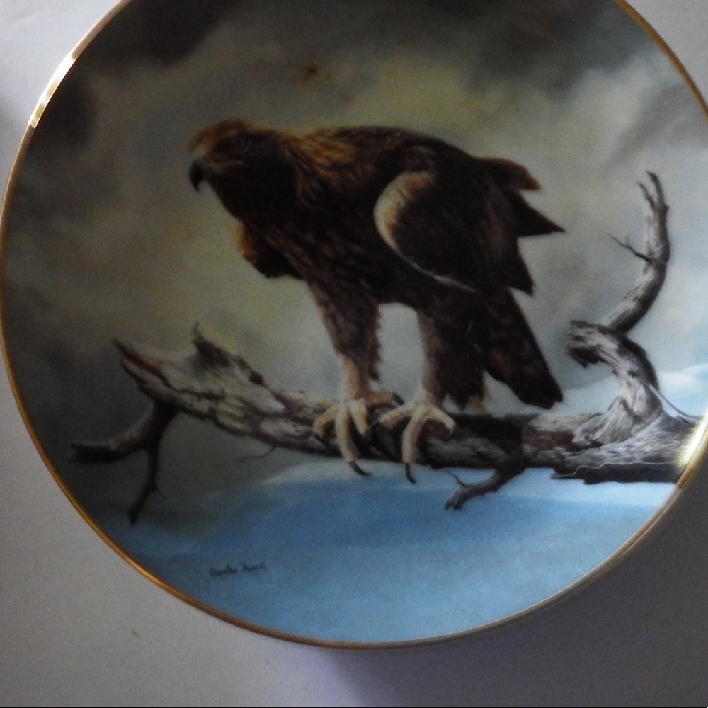 WS George china collectable from Soaring Majesty collection